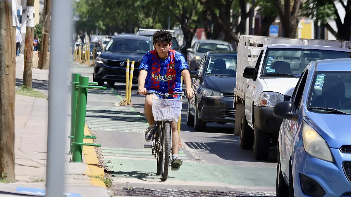 CICLOVIAS - Fco Meza - El Sol de Leon (6)